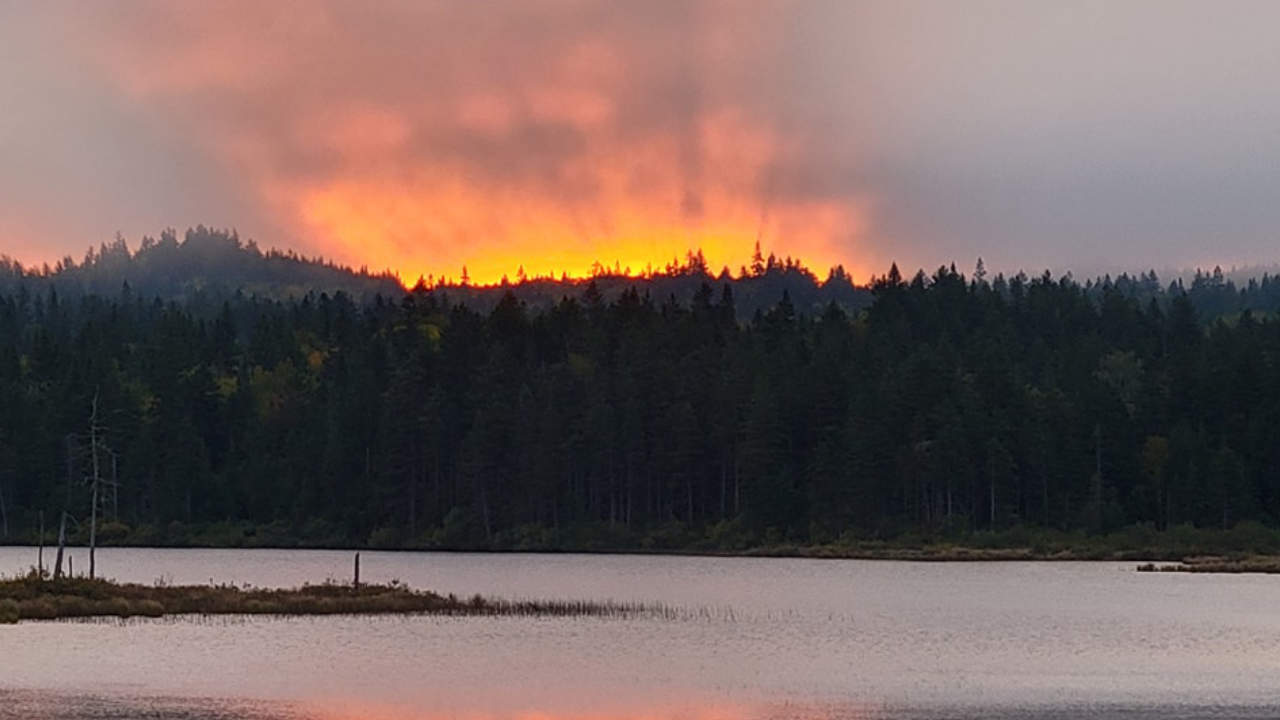 vue d'un coucher de soleil derrière la forêt dans la ZEC Jaro